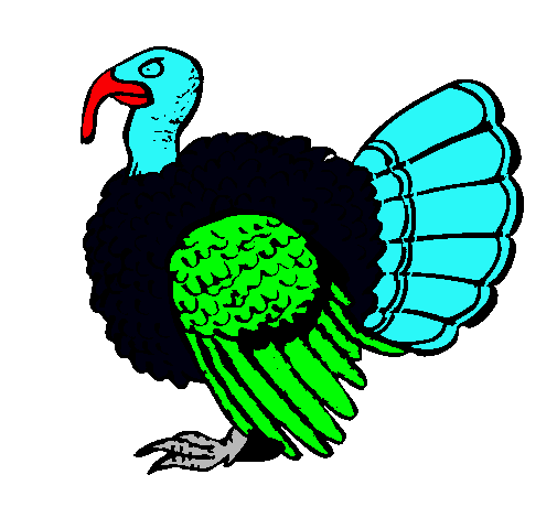 Pavo 