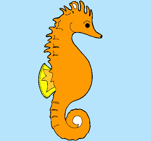 Caballito de mar