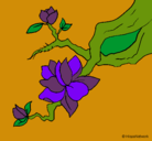 Dibujo Flor de almendro pintado por hortensia