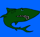 Dibujo Tiburón pintado por tiburon
