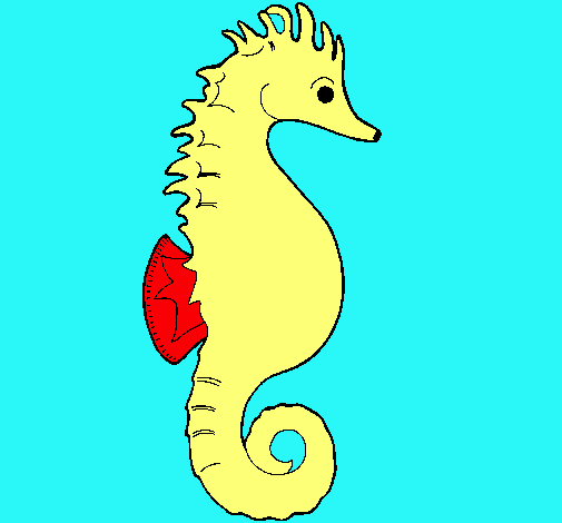 Caballito de mar