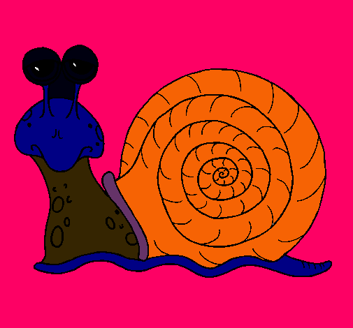 Caracol