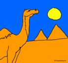 Dibujo Camello pintado por alesander