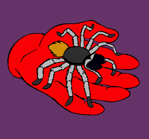 Tarántula