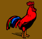 Dibujo Gallo gallardo pintado por vrian
