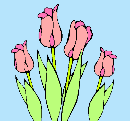 Tulipanes