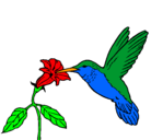 Dibujo Colibrí y una flor pintado por pycsiz