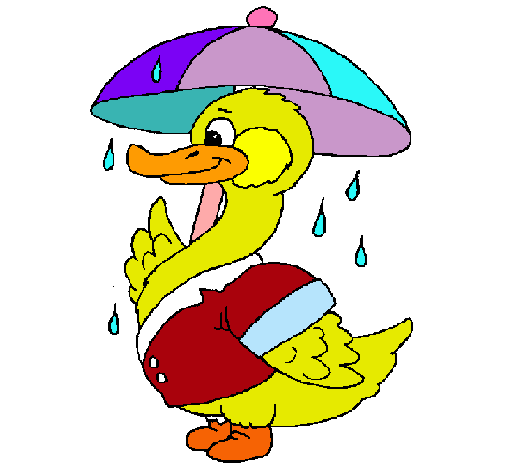 Dibujo Pato bajo la lluvia pintado por jhongeyber 
