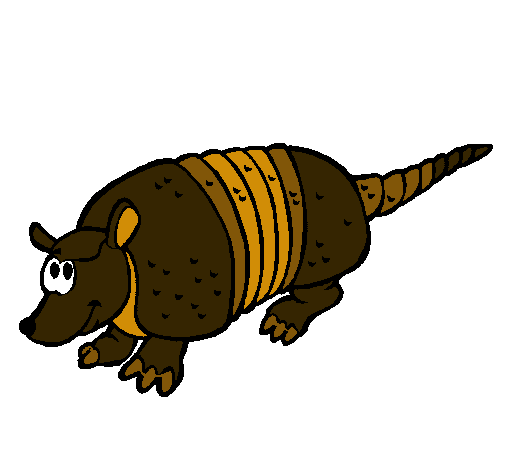 Armadillo