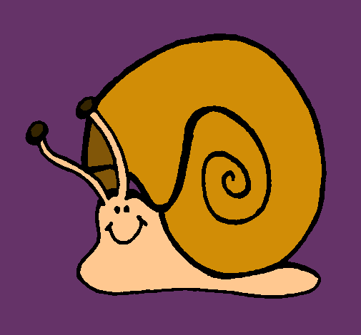 Caracol 