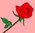 Dibujo Rosa pintado por Natii