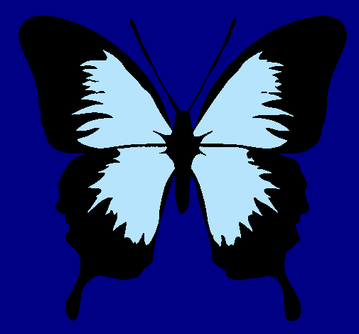 Dibujo Mariposa con alas negras pintado por lauracamila