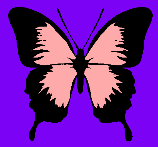 Mariposa con alas negras