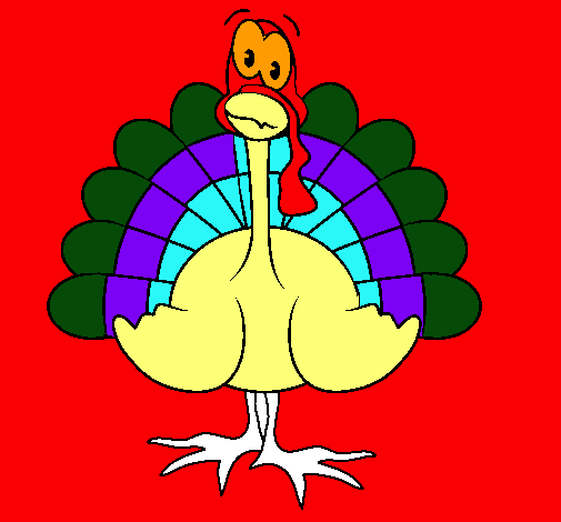 Pavo