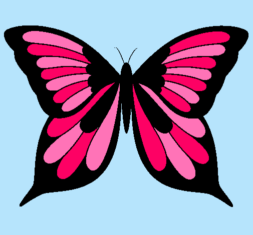 Dibujo Mariposa pintado por majo