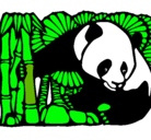 Dibujo Oso panda y bambú pintado por ohfujtunhug