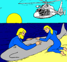 Dibujo Rescate ballena pintado por ALAKIN_121