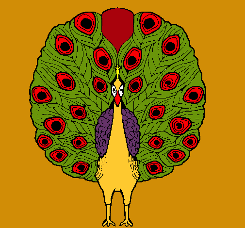 Pavo real