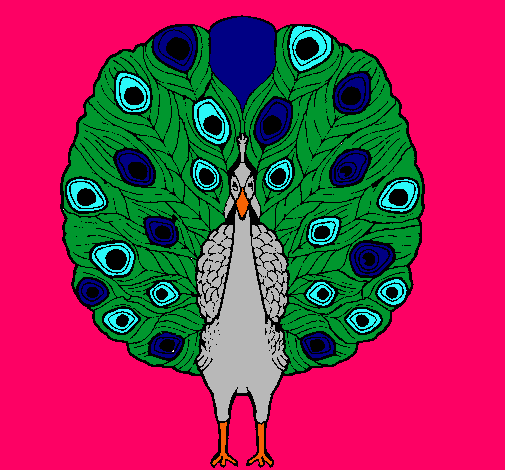 Pavo real