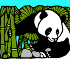 Dibujo Oso panda y bambú pintado por jilipoyas