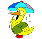 Dibujo Pato bajo la lluvia pintado por PINI