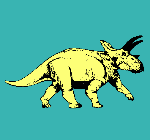 Triceratops