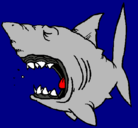 Dibujo Tiburón pintado por abaco