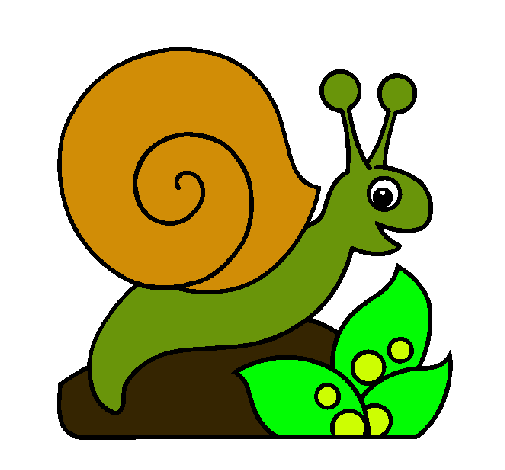 Caracol