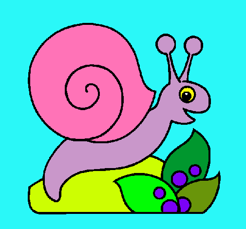 Caracol