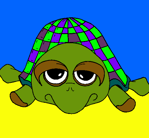 Tortuga