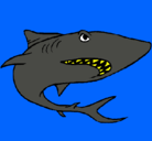 Dibujo Tiburón pintado por hgfdsaet