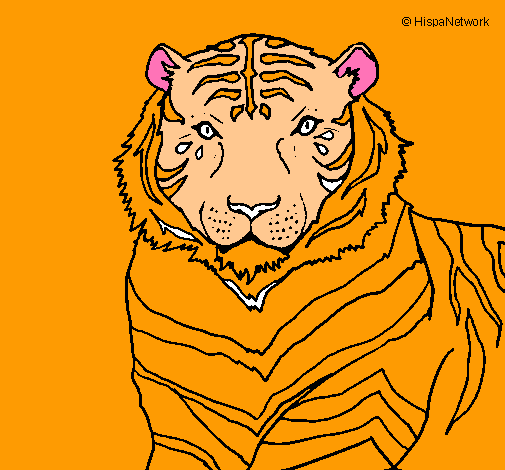 Dibujo Tigre pintado por andiker