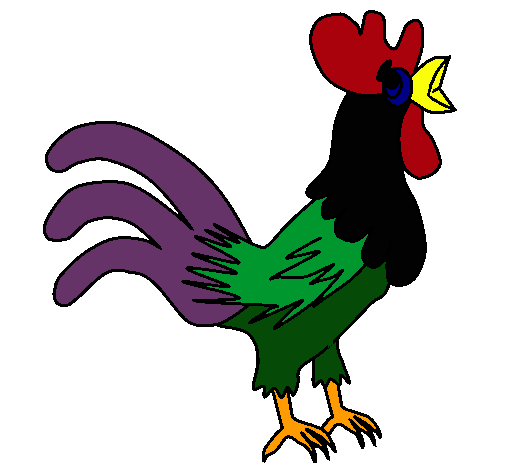 Gallo