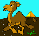 Dibujo Camello pintado por elissabetts