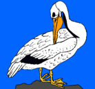 Dibujo Pelícano pintado por pelicano