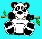 Dibujo Oso panda pintado por judithdivina
