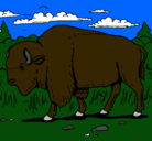 Dibujo Búfalo  pintado por yurian