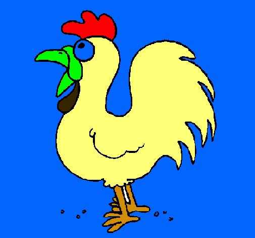 Gallo de granja