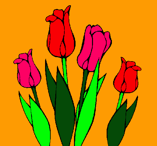 Tulipanes