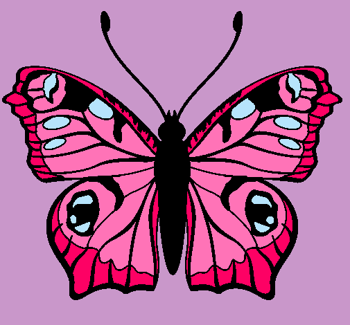 Mariposa 