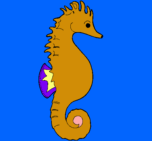 Caballito de mar