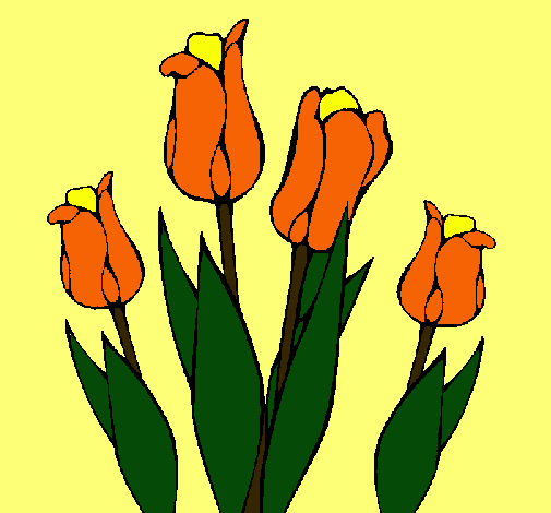 Tulipanes