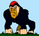 Dibujo Gorila pintado por wannyz