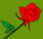 Dibujo Rosa pintado por vicktoria
