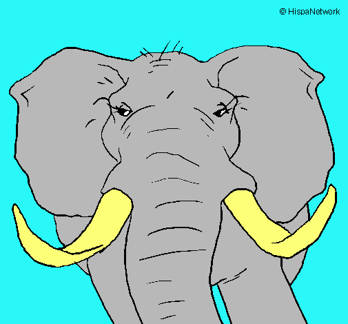 Dibujo Elefante africano pintado por luisito