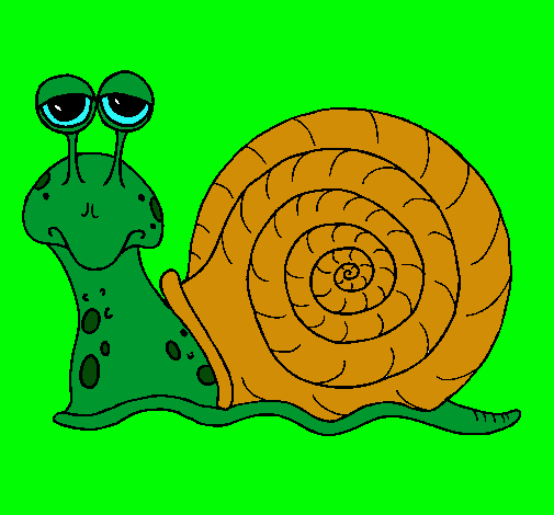 Caracol