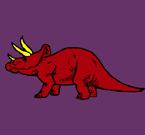 Triceratops