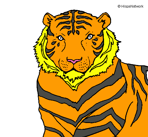 Tigre