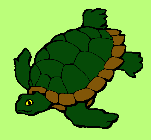 Dibujo Tortuga pintado por Solchuu98