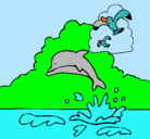 Dibujo Delfín y gaviota pintado por ammi